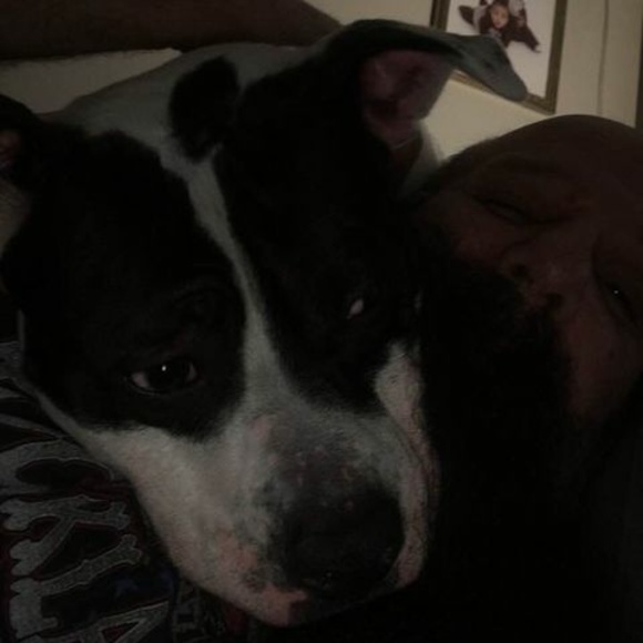 Meet your Posher, Rob - Picture 1 of 1